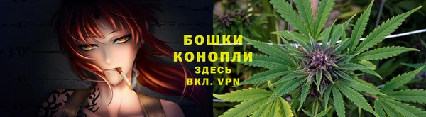 jwh Белокуриха
